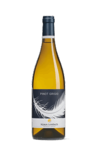 PINOT GRIGIO DOC 2024