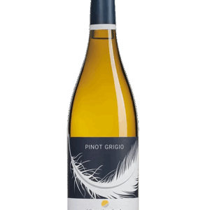 PINOT GRIGIO DOC 2024