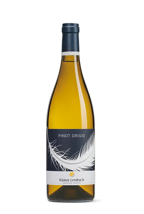 PINOT GRIGIO DOC 2024